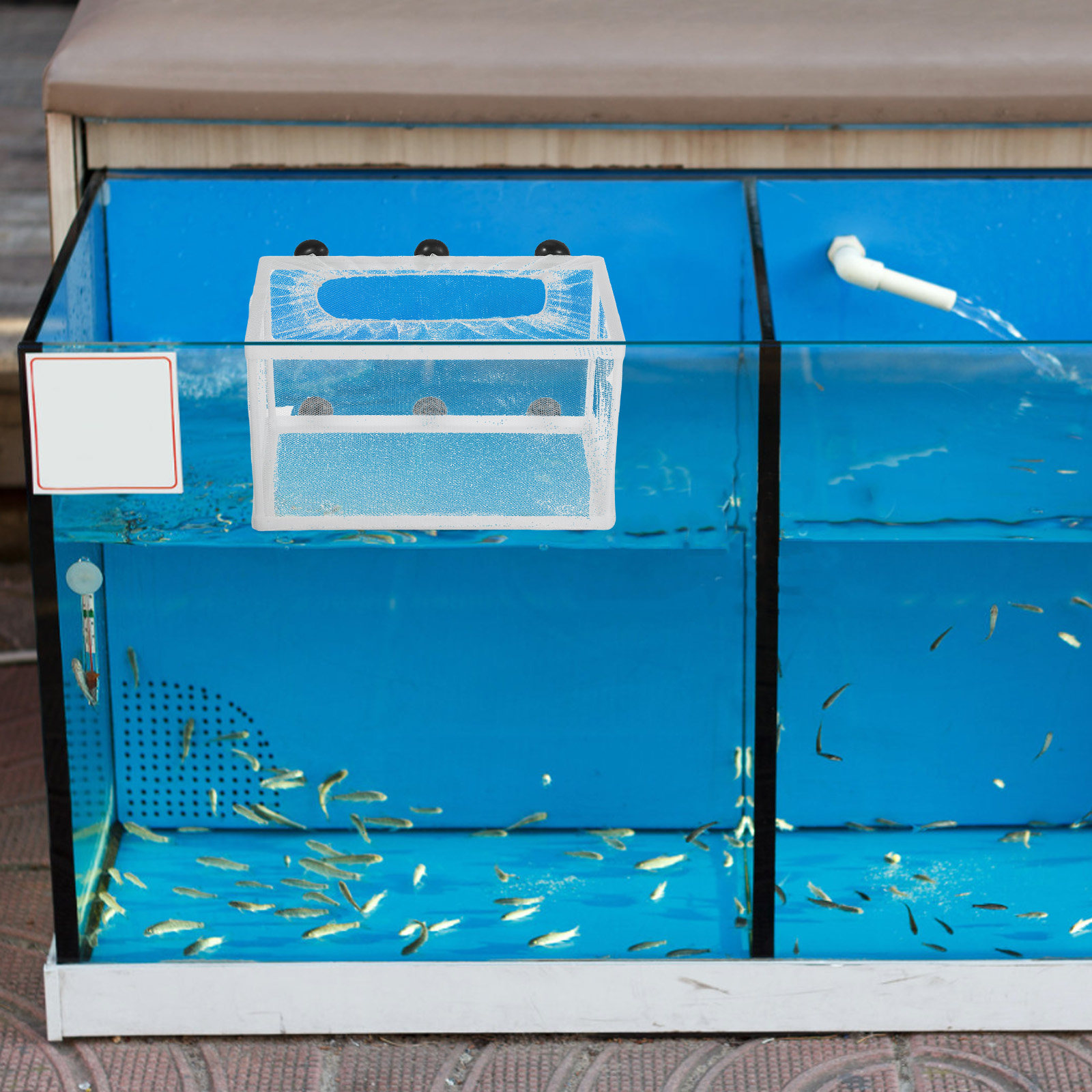 Aquarium Fish Net Big Size - Akvaryum Balık Ağı Kuluçka Kutusu Büyük