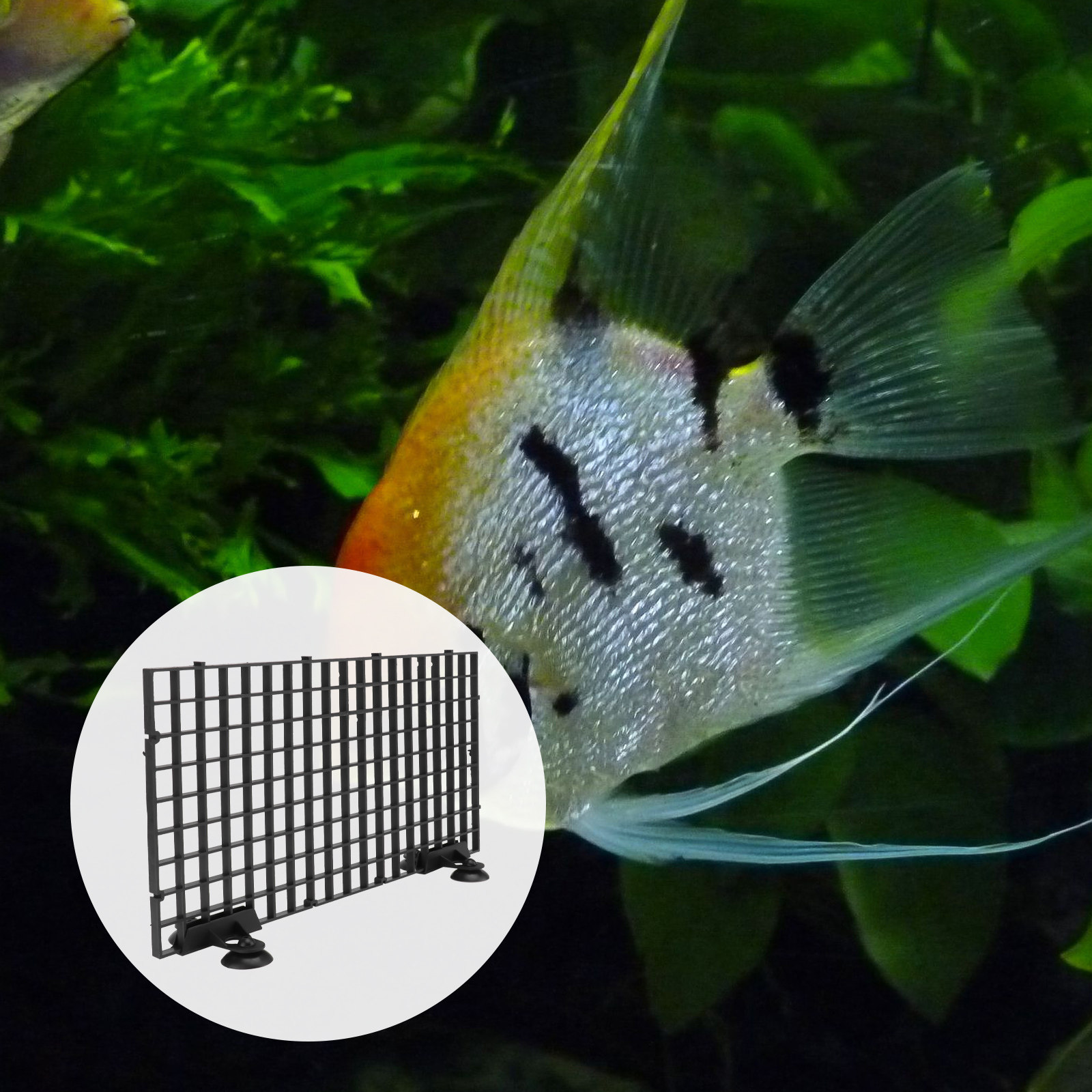 Aquarium Fish Net Big Size - Akvaryum Yavru Balık Ayırma Panosu için