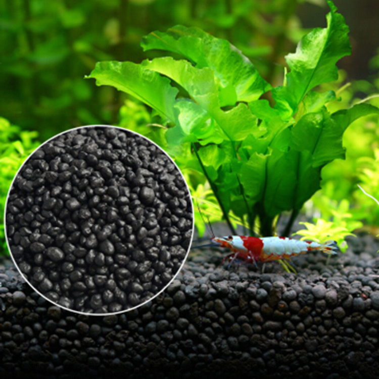 Aquarium Fish Farm - Akvaryum bitki tohumları toprak balık tankı