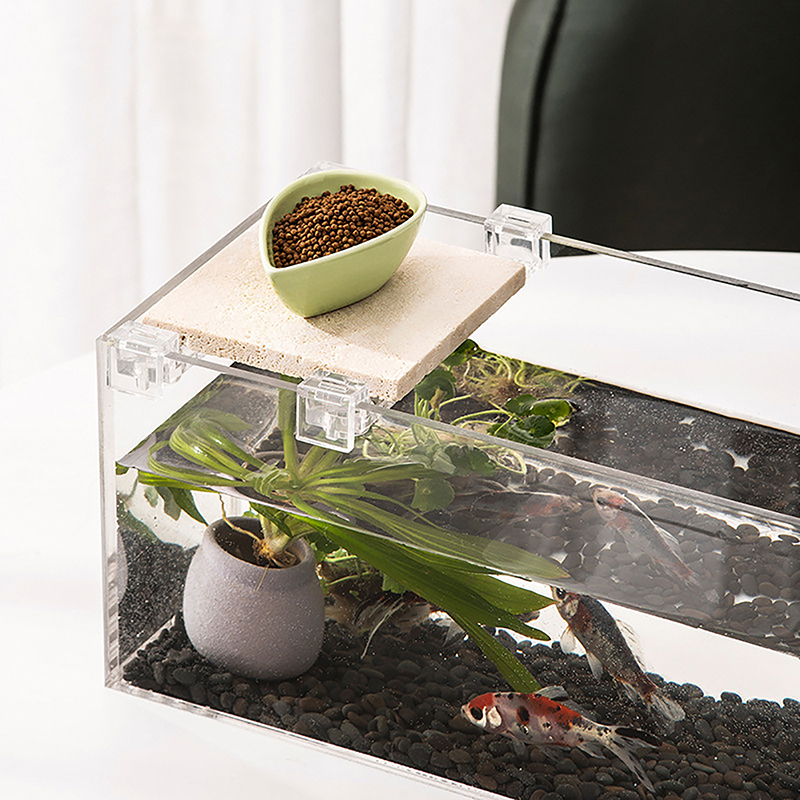 4 adet akrilik balık depo kapa - Aquarium Fish Buy incelemesi ve fiyatı
