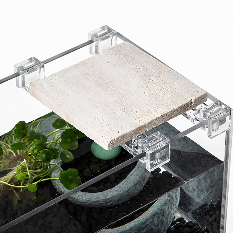 4 adet akrilik balık depo kapa - Aquarium Fish Buy incelemesi ve fiyatı