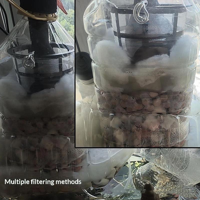 ㉻ 10 adet Yüzen Balık Kuluçka  - Aquarium Fish Pond incelemesi ve fiyatı