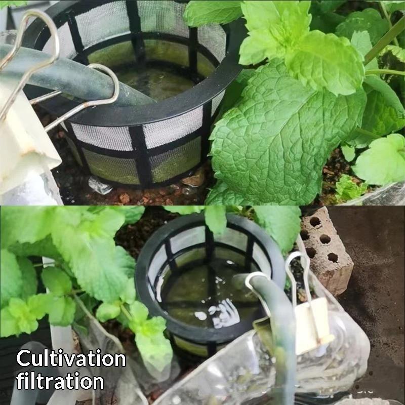 ㉻ 10 adet Yüzen Balık Kuluçka  - Aquarium Fish Pond incelemesi ve fiyatı
