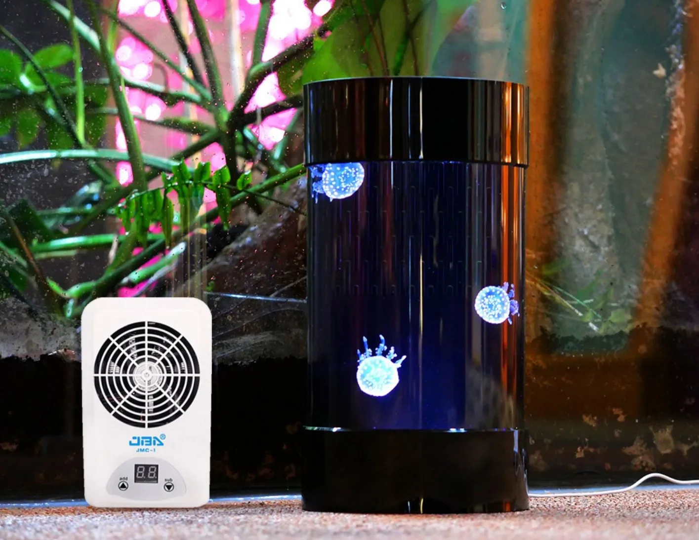 En Çok Satan Amazon Ürünleri D - Aquarium Fish In Amazon incelemesi ve fiyatı