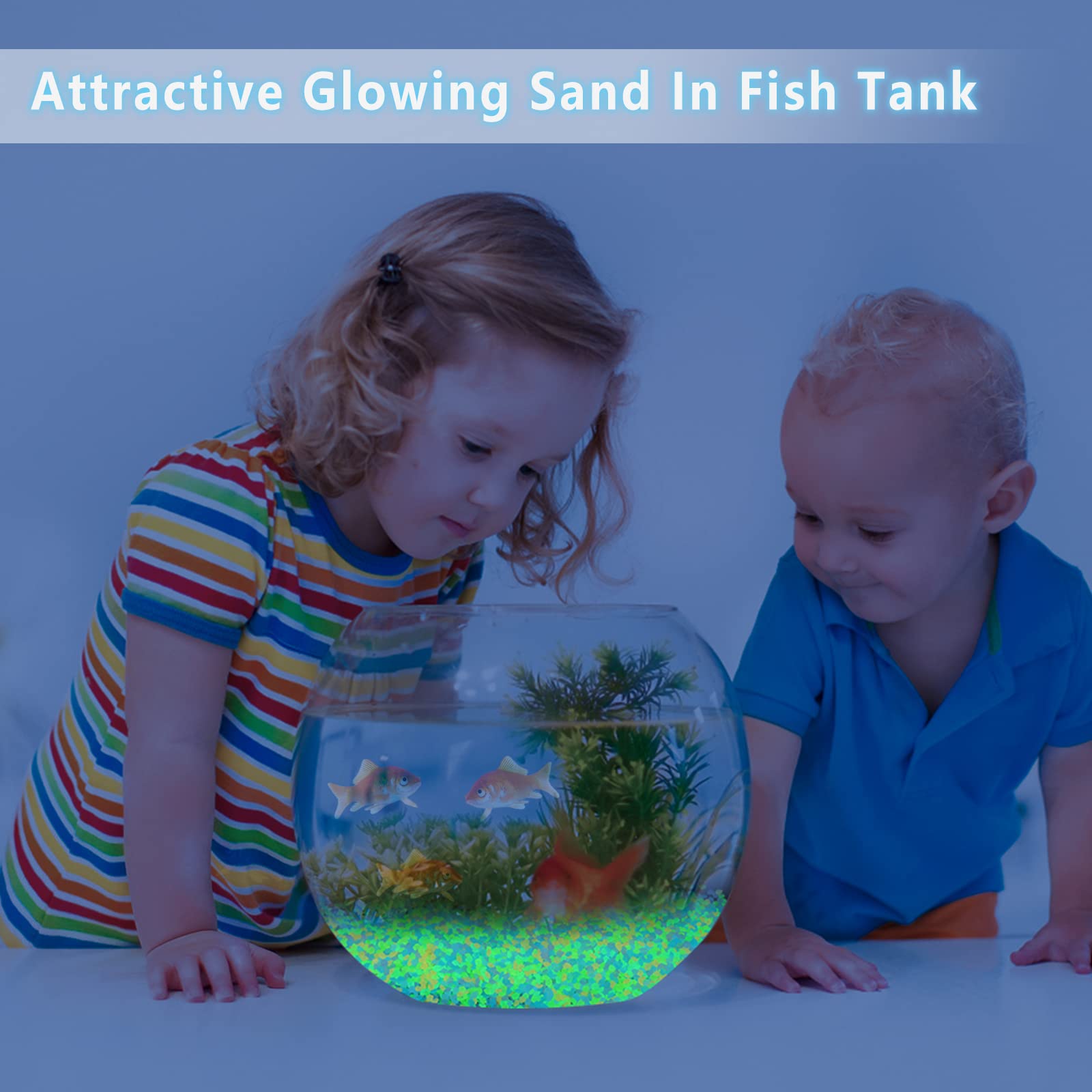 1000 Adet Işıklı Kum Karanlıkt - Aquarium Fish Farm incelemesi ve fiyatı