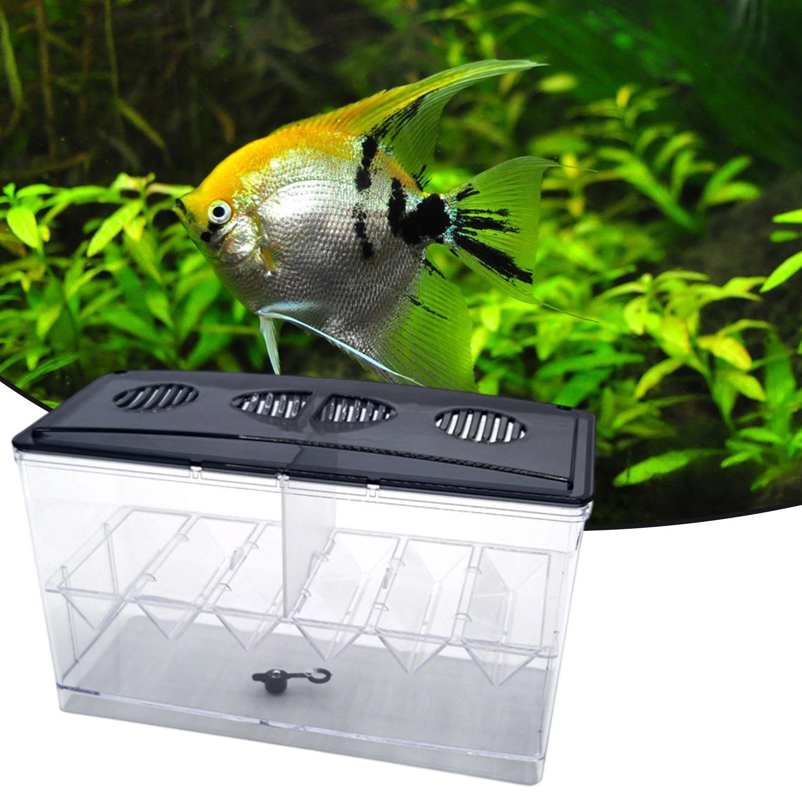 Yüzen Balık Yetiştiriciliği İz - Aquarium Fish Tank Cleaner incelemesi ve fiyatı