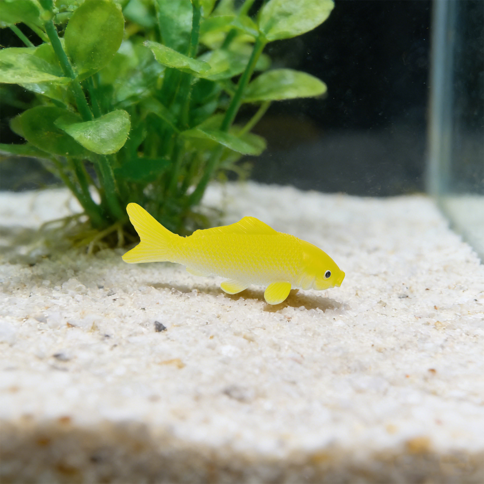 3 adet Balık El Sanatları Oyun - Aquarium Fish Pond incelemesi ve fiyatı