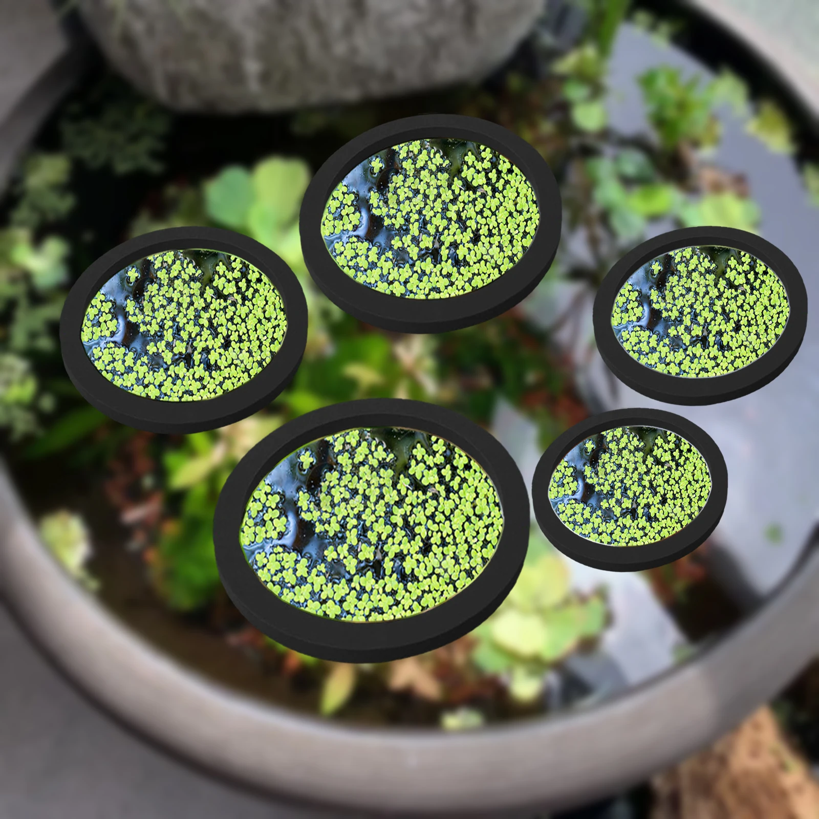 5 adet EVA balık besleme halka - Aquarium Fish Pond incelemesi ve fiyatı