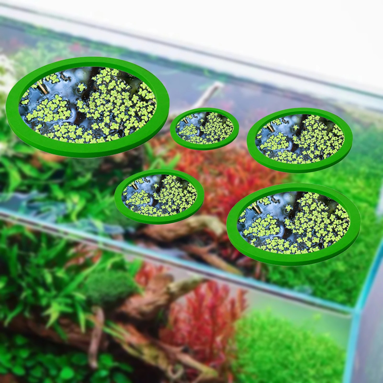 5 adet EVA balık besleme halka - Aquarium Fish Pond incelemesi ve fiyatı