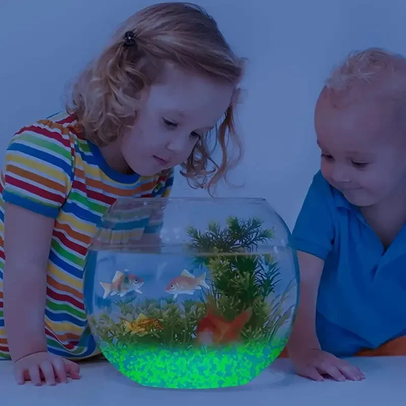 1000 adet 3-5mm Aydınlık Kum K - Aquarium Fish Farm incelemesi ve fiyatı