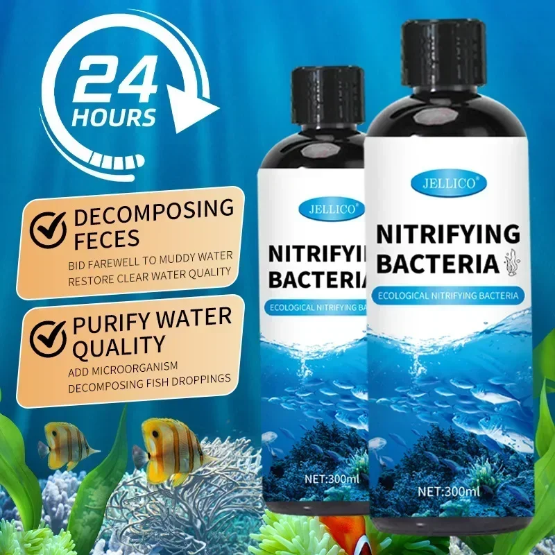 300 ml nitrifikasyon bakteri s - Aquarium Fish Farm incelemesi ve fiyatı