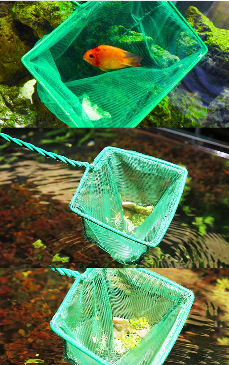 Taşınabilir Büyük Boy Balık Ağ - Aquarium Fish Net Big Size incelemesi ve fiyatı