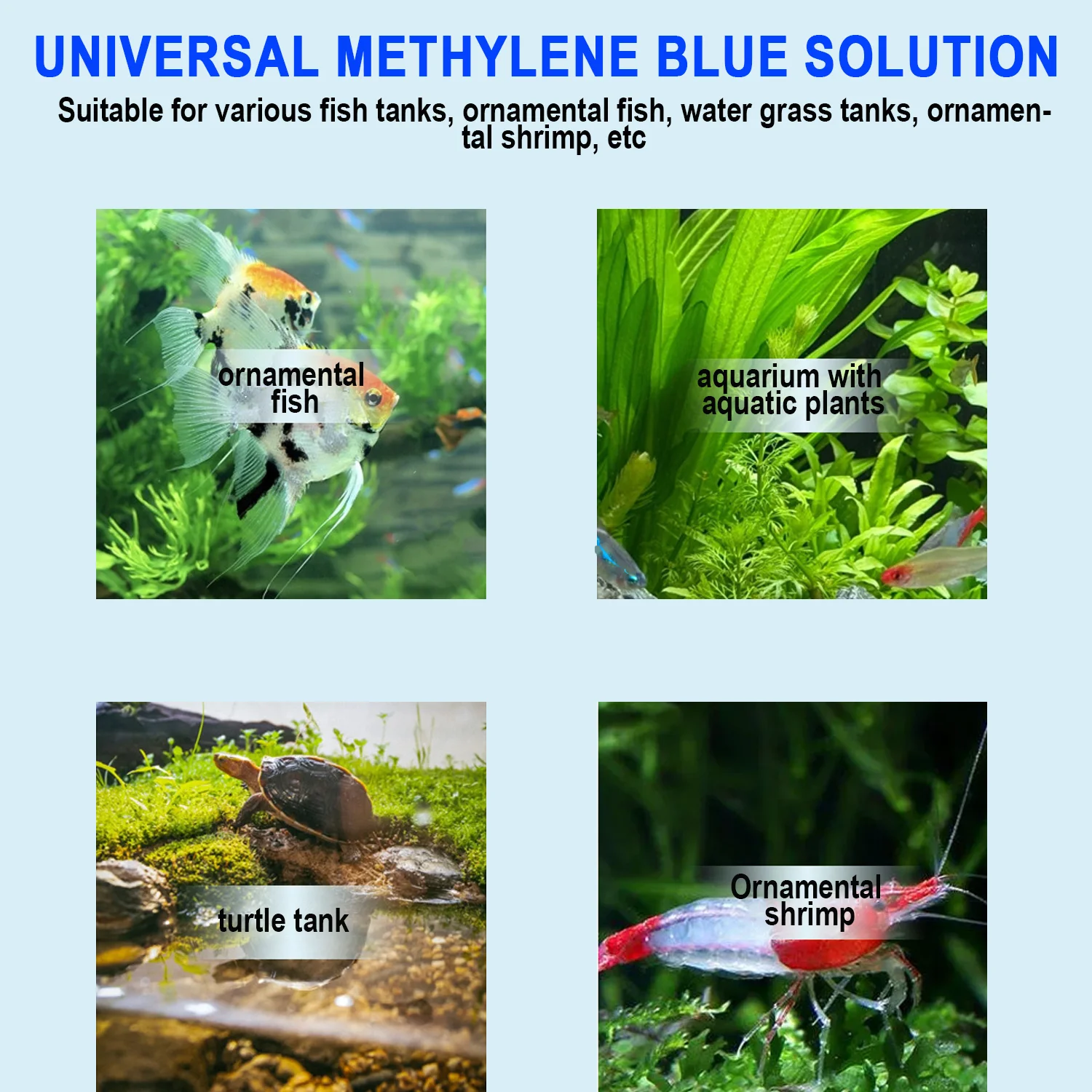 Akvaryum Metilen Mavisi Balık  - Aquarium Fish Parasites incelemesi ve fiyatı
