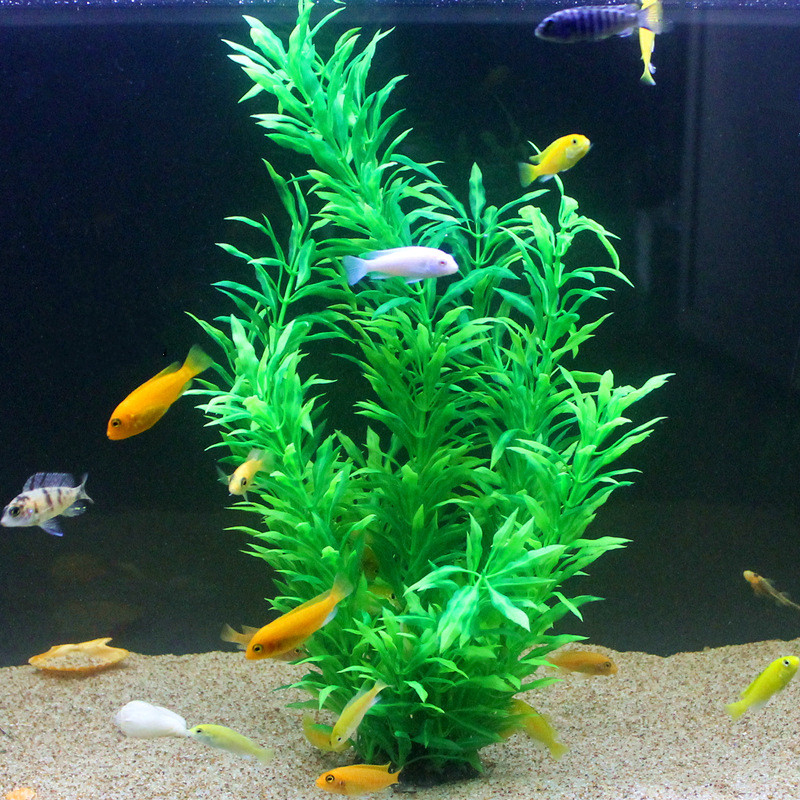 50 CM Yapay Balık Tankı Nadir  - Aquarium Fish Farm incelemesi ve fiyatı